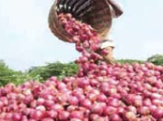 Onion